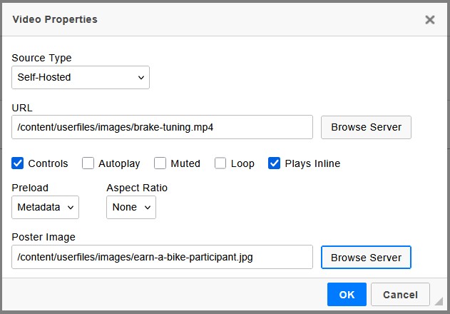 Video Properties dialog for a self-hosted video